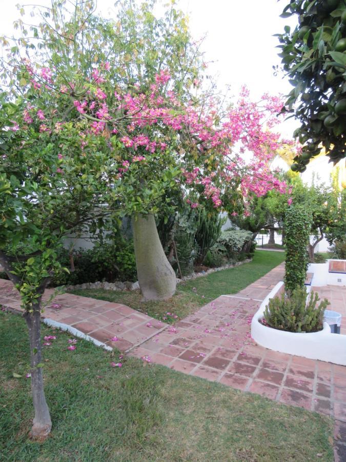 Apartamento Bien Situado En Marbella Exteriér fotografie